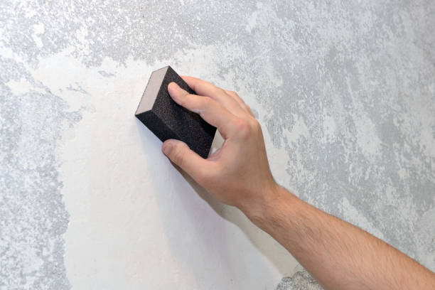 Best Mold Removal for HVAC Installations  in Plymouth, CA