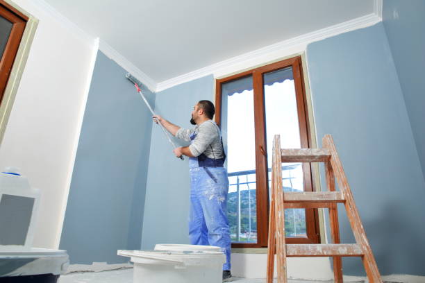 Best Attic Mold Removal  in Plymouth, CA