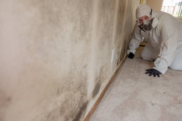 Best Forensic Mold Investigation  in Plymouth, CA